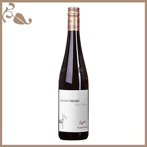 Ried KOGELBERG 1 ÖTW Kamptal DAC Riesling 2021