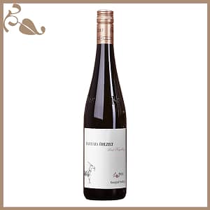 Ried KOGELBERG 1 ÖTW Kamptal DAC Riesling 2022