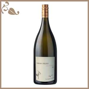 Ried KOGELBERG 1 ÖTW Kamptal DAC Riesling 2020 Magnum